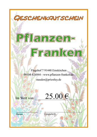 Geschenkgutschein - Blumenhintergrund