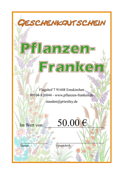 Geschenkgutschein - Blumenhintergrund