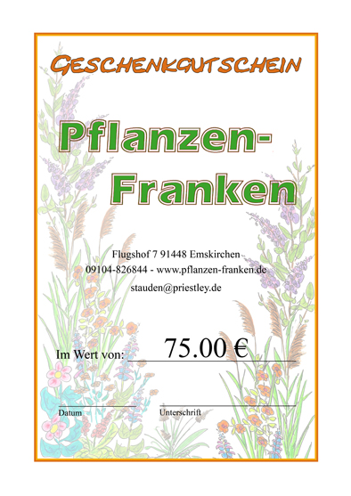 Geschenkgutschein - Blumenhintergrund