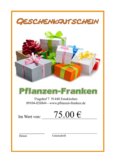 Geschenkgutschein - Geschenk